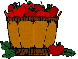 apple basket